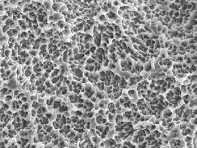 Estructura microporosa multinivel